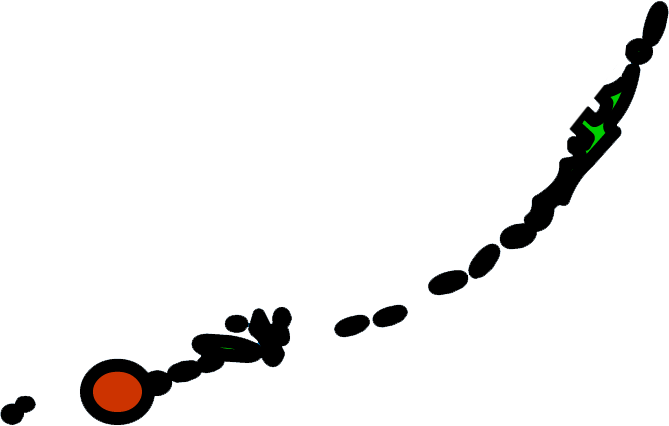 Illustration of Florida Keys