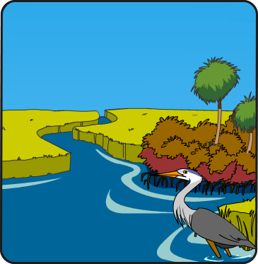 Illustration of the Indian River Lagoon