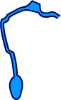 Illustration of Ocklawaha River