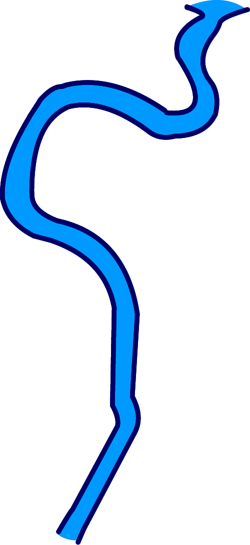 Illustration of Suwannee River