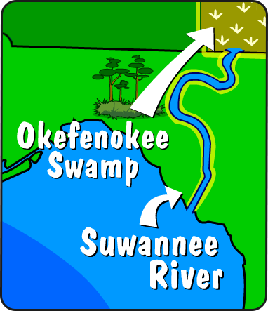 Illustration of the Suwannee system