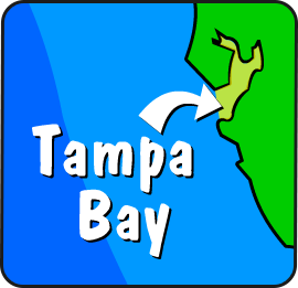 Illustration of Tampa Bay