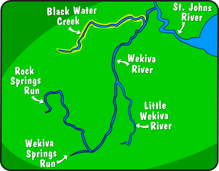 Illustration of Wekiva River