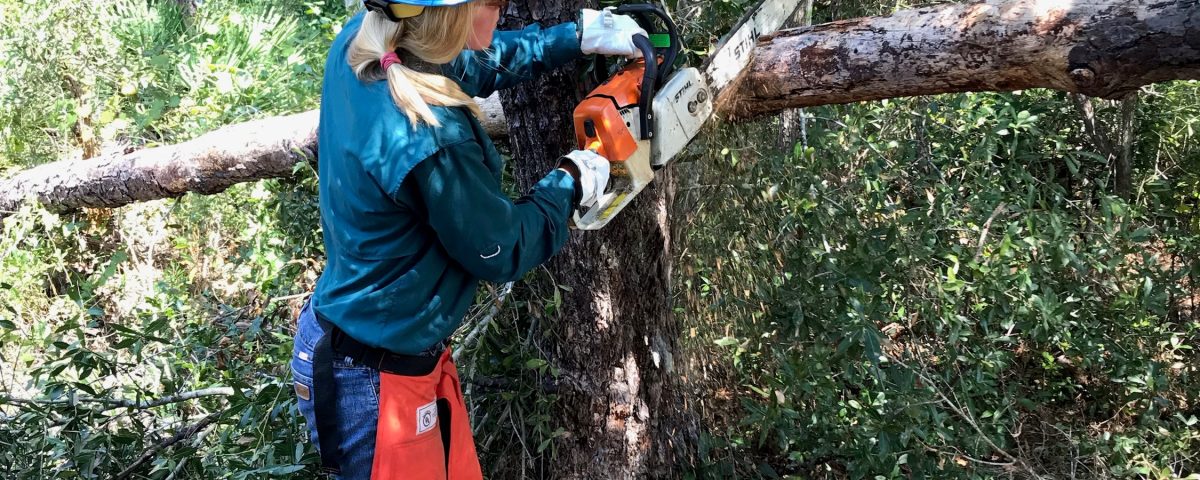 District staff inspecting and cleaning up district lands