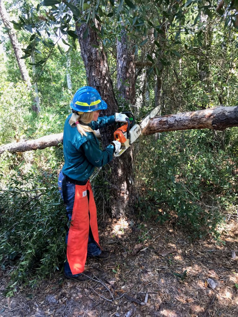 Hurricane Dorian cleanup - Dunns Creek CA 2 District staff inspecting and cleaning up district lands