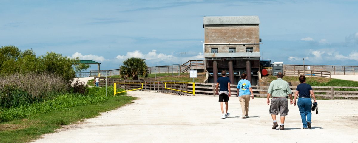 People walking toward Lake Apopka Wildlife Drive