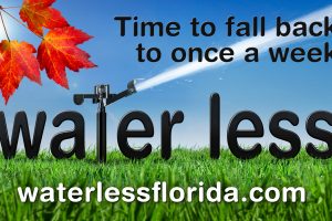 District's Fall Back campaign