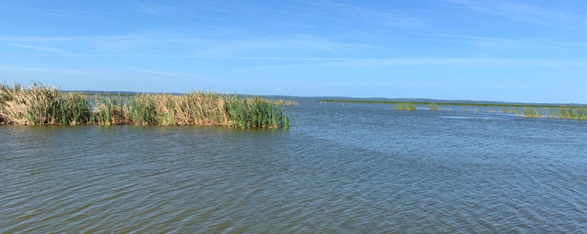 Calm waters on Lake Apopka