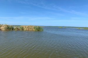 Calm waters on Lake Apopka