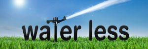 Water Less banner image