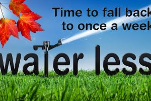 District's Fall Back campaign
