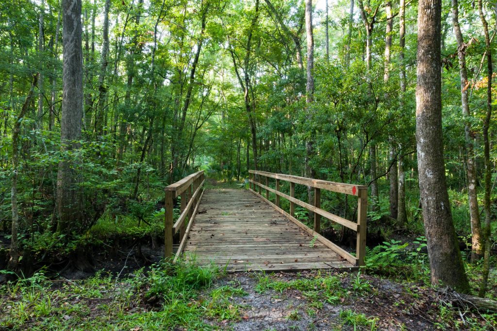 Julington Durbin Preserve
