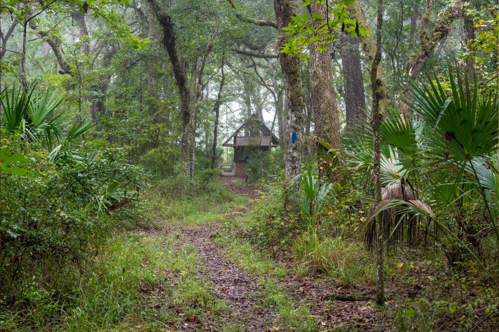 Rice Creek