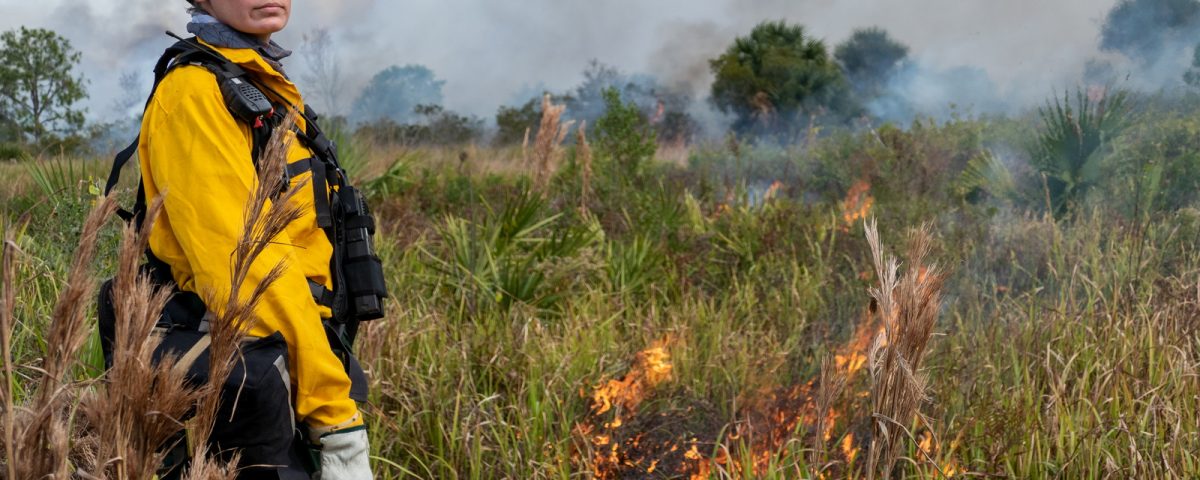 Disrict staff conducting a prescribed fire