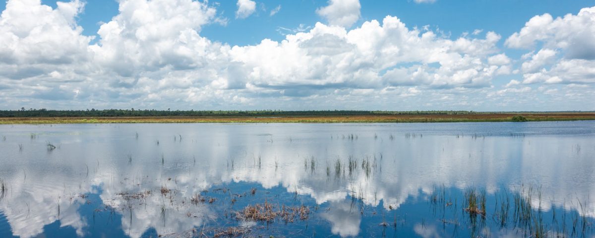 Buck Lake with fluffy clouds above it