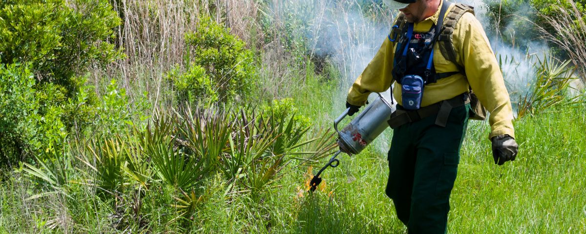 Steve Miller - SJRWMD staff conducting prescribed burn at Dunns Creek Conservation Area