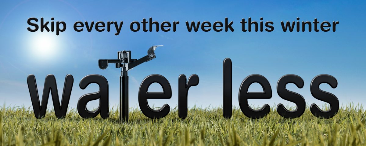 Water Less logo on dry grass