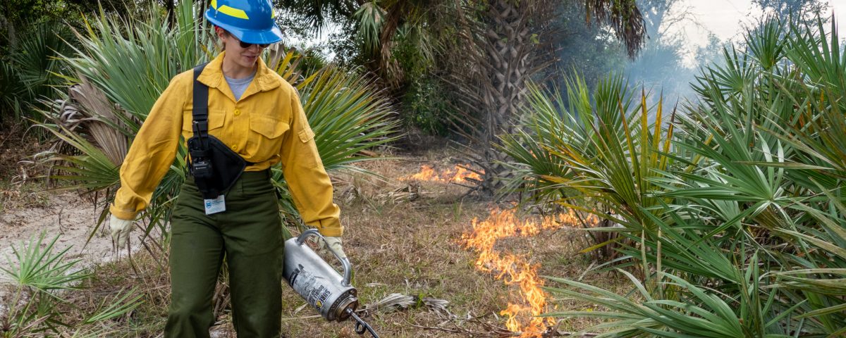 Prescribed fire ignition by District employee