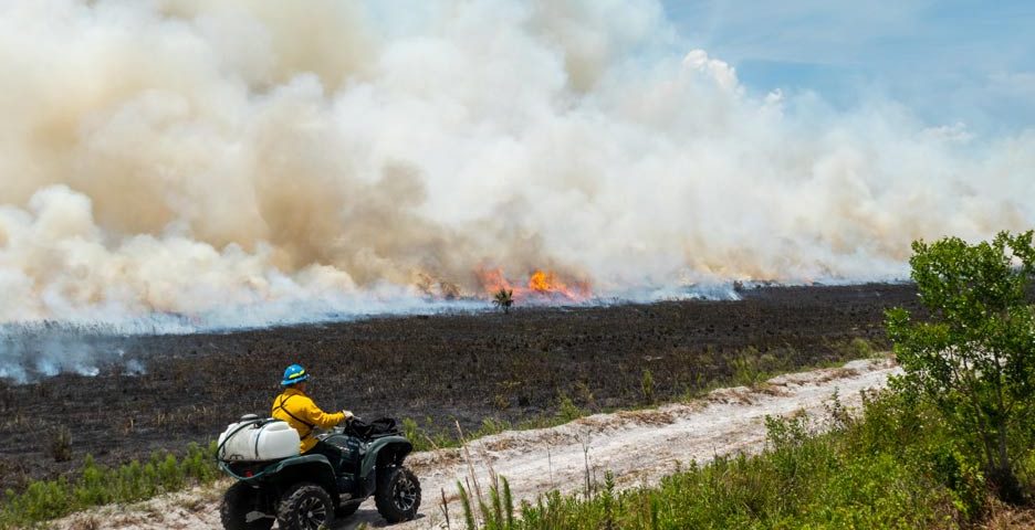 District staff person on a 4-wheeler, observing a control burn