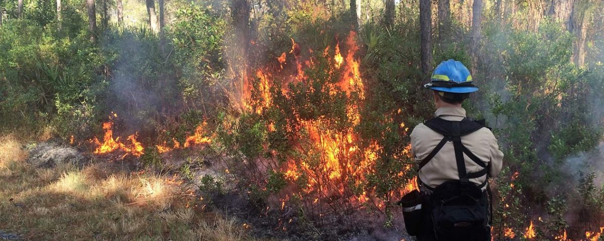 Prescribed fire at Bayard Conservation Area