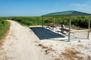 Lake apopka north shore trail on a sunny day