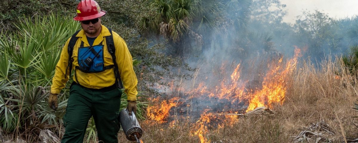 Fort Drum prescribed fire