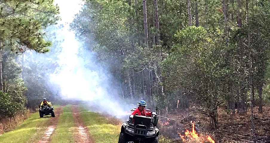Prescribed fire at Heart Island Conservation Area
