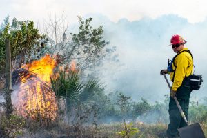 District employee inspecting a prescribed fire