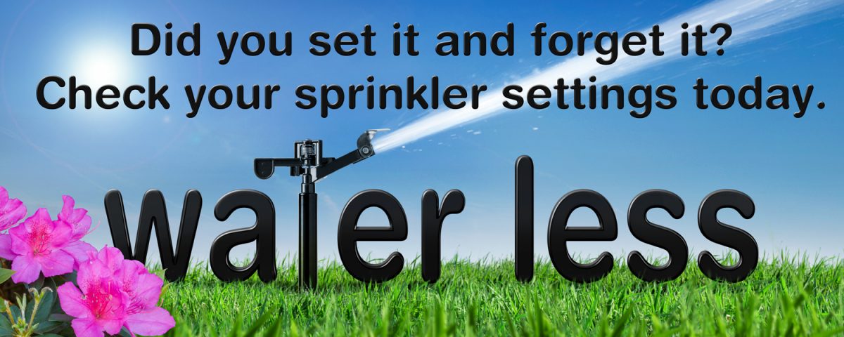 Water Less banner with Azaleas
