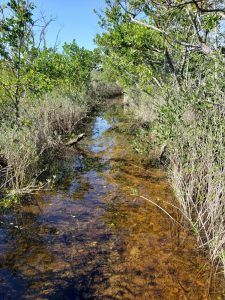 Flooded trail