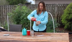 Jennifer Mitchell sowing a demonstration