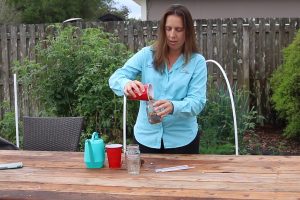 Jennifer Mitchell sowing a demonstration