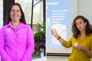 Jennifer Mitchell and Deirdre Irwin leading their own webinars