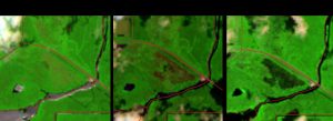 Time lapse imagery shows changes in the landscape of the marsh just south of U.S. Hwy. 192