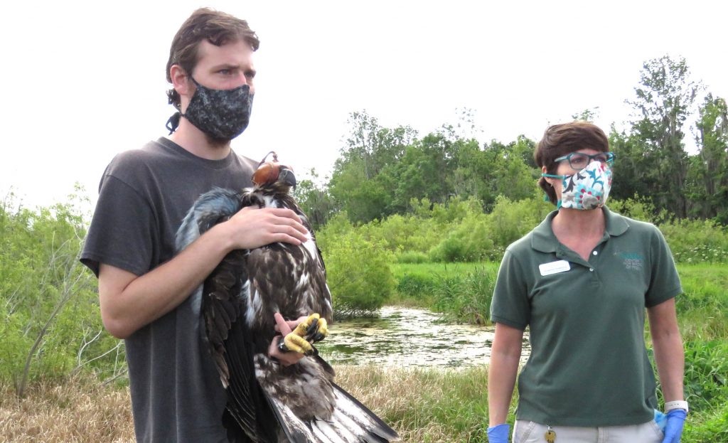 District employee holding an eagle