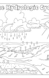 The Hydrologic Cycle coloring sheet