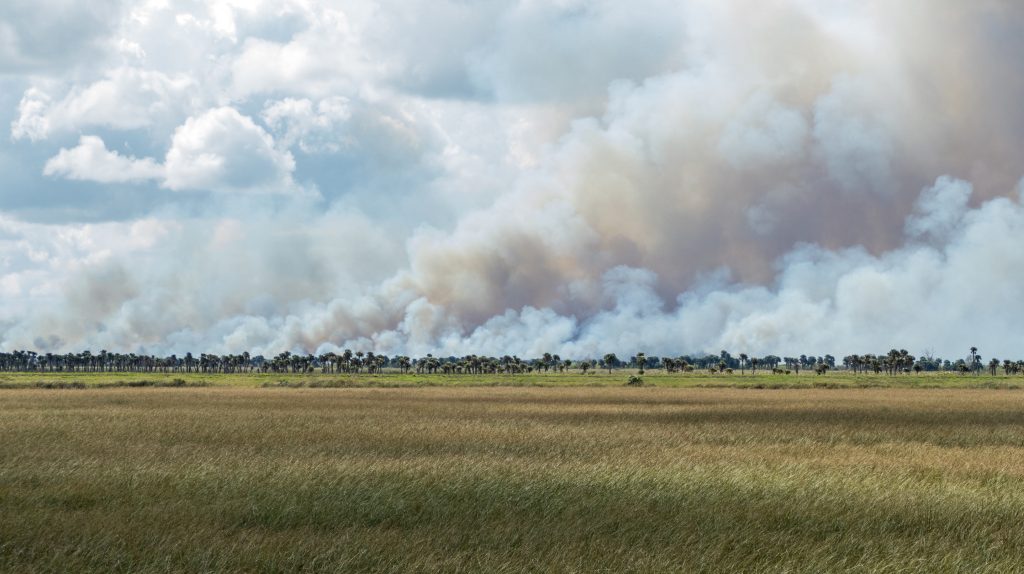 Prescribed fire in the Three Forks Conservation Area