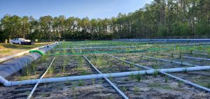 Plastic pipes laying in a grid pattern