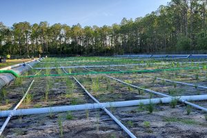 Plastic pipes laying in a grid pattern