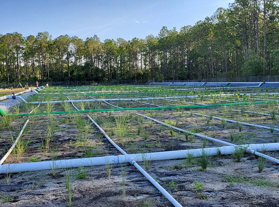 Pipes layed down near Doctor's lake