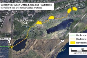 DeBary Bayou vegetation removal pilot project route