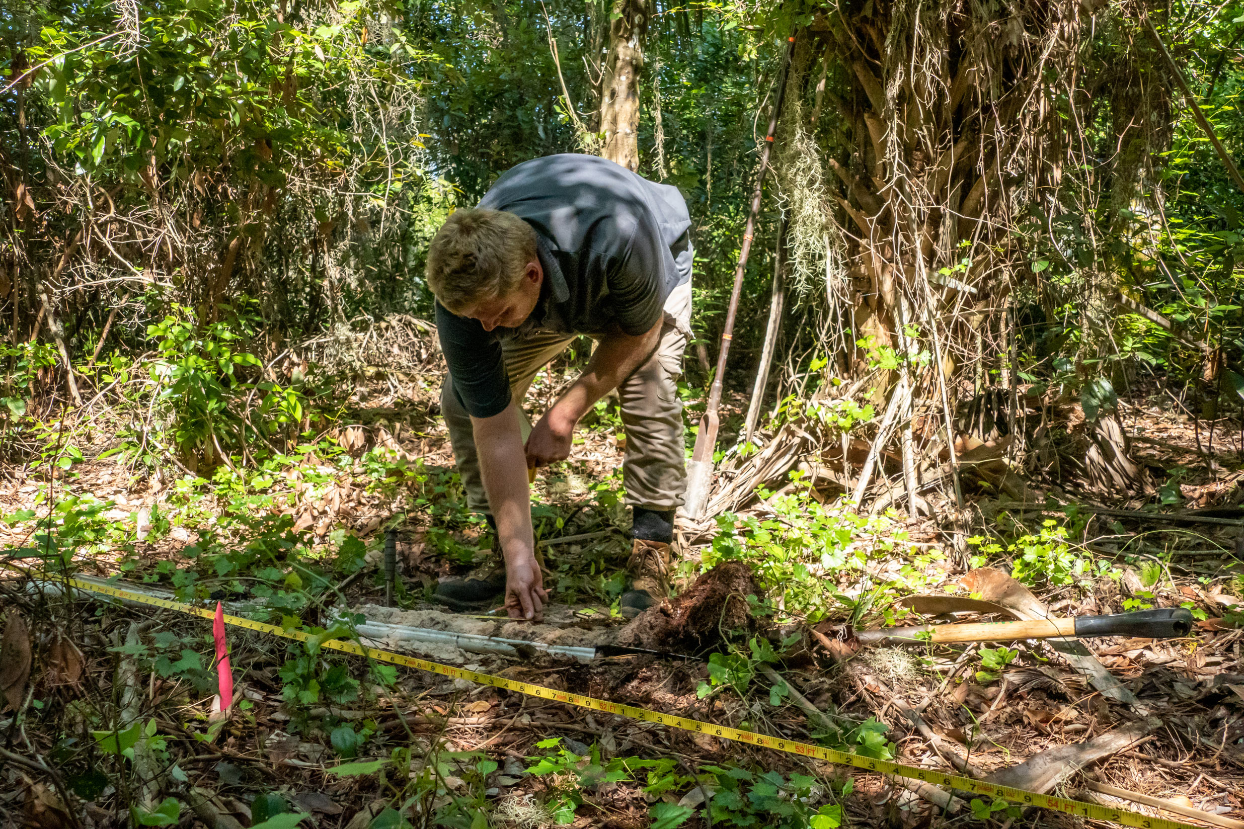 A District environmental scientist takes a soil sample