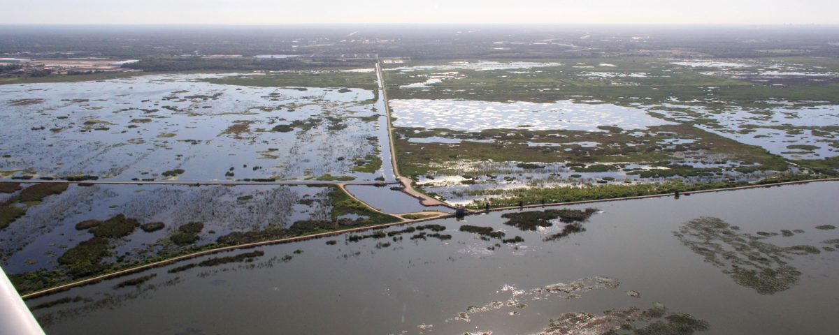 Water levels at the Lake Apopka North Shore in April 2020