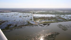 Water levels at the Lake Apopka North Shore in April 2020