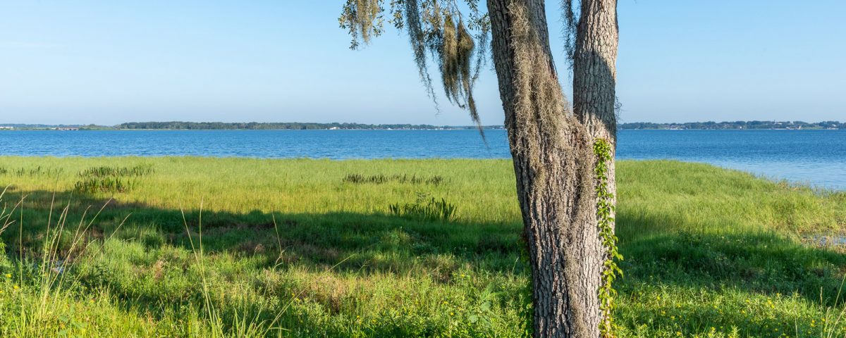 Lake Minneola