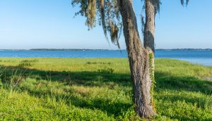 Lake Minneola