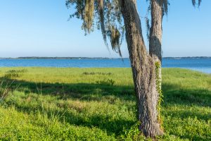 Lake Minneola