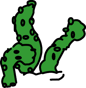 Vegetation illustration