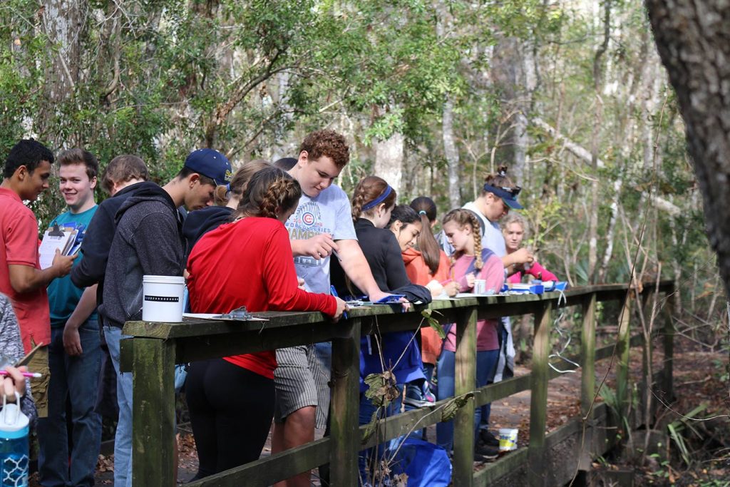Students standing on a wooden bridge in a district property