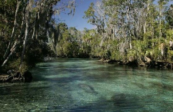 Image of Blue Spring